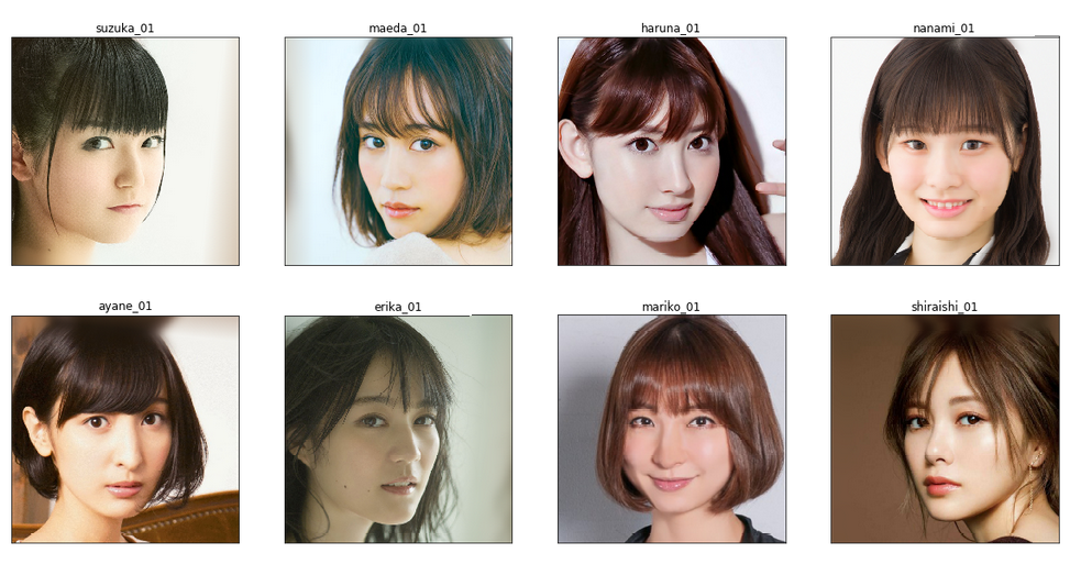 Input Faces